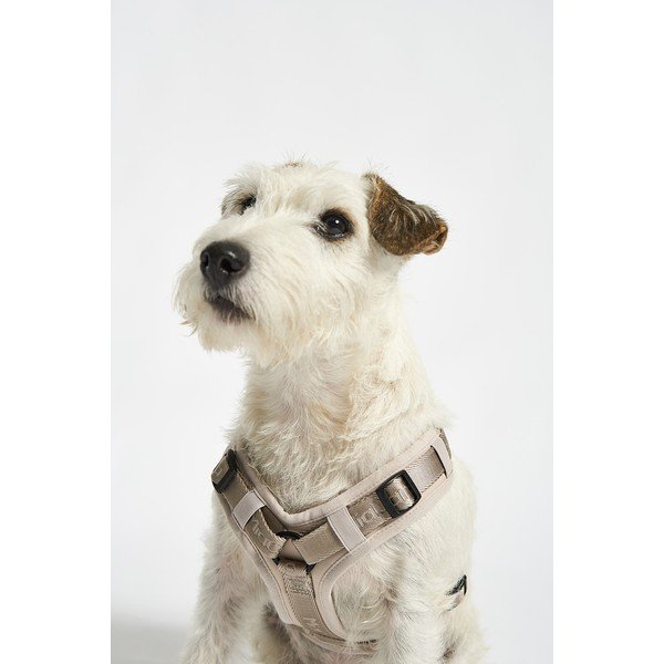 Bež uprtač S dužina 30 cm Modena Greige S – MiaCara-image-1