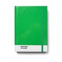 Bilježnica Green 16-6340 – Pantone