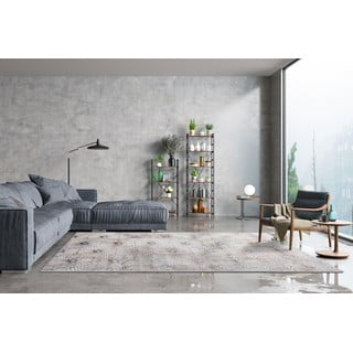 Svijetlo sivi tepih 200x300 cm Simp – FD