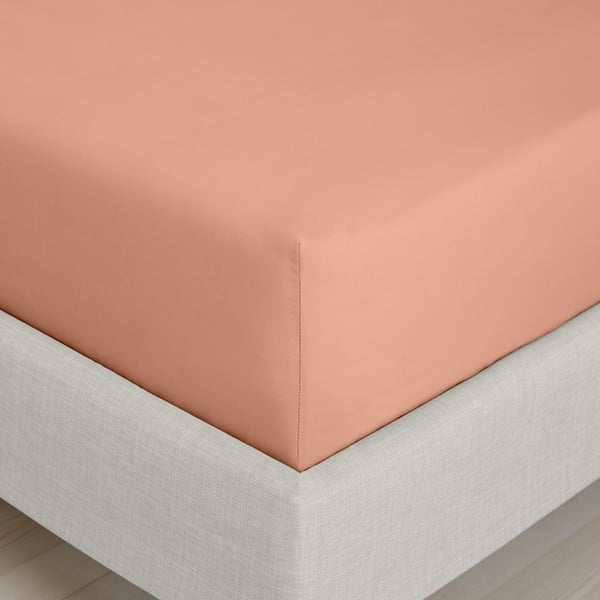 Plahta s gumom od pamučnog perkala boja terakote 90x190 cm Cotton Percale – Bianca-image-3