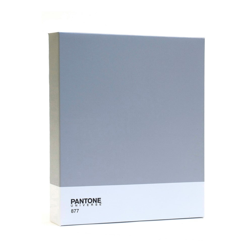 Slika Pantone 877 Classic Silver