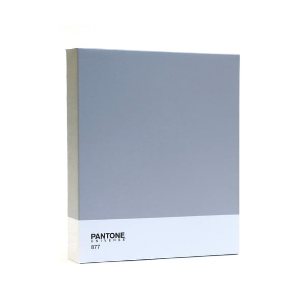 Slika Pantone 877 Classic Silver