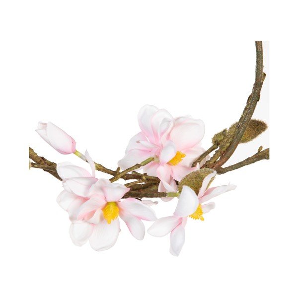 Vijenac Magnolia – Ixia-image-4