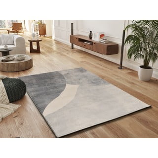 Sivi tepih 140x200 cm Monic – Universal