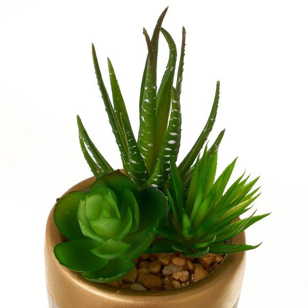 Umjetne biljke u setu 4 kom (visina 17 cm) Cactus – Casa Selección-image-2
