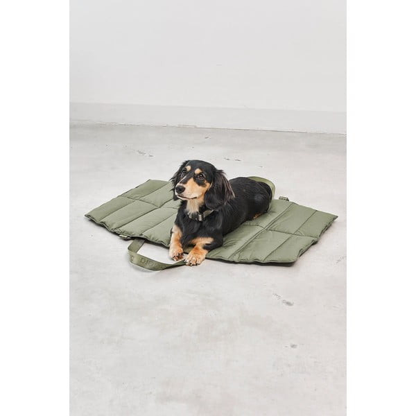 Zeleni putni krevetić za pse 70x100 cm Strada Grolive M – MiaCara-image-3