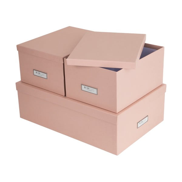 Kartonske kutije za pohranu u setu  3 kom s poklopcem Inge – Bigso Box of Sweden