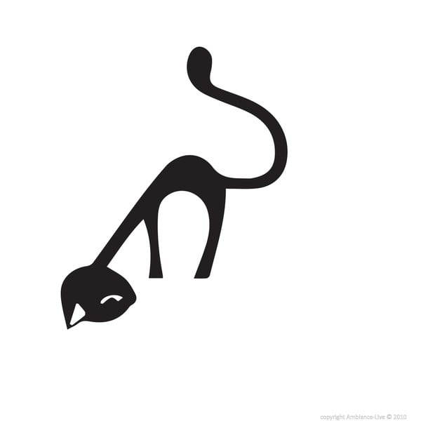 Naljepnica Ambiance Funny Cat-image-1