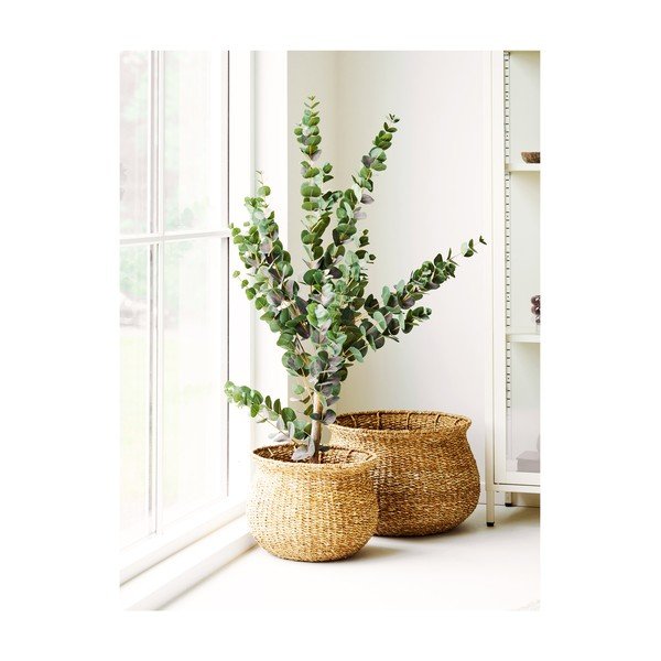 Posude za cvijeće u setu 2 kom od morske trave ø 46 cm Eden – House Nordic-image-2