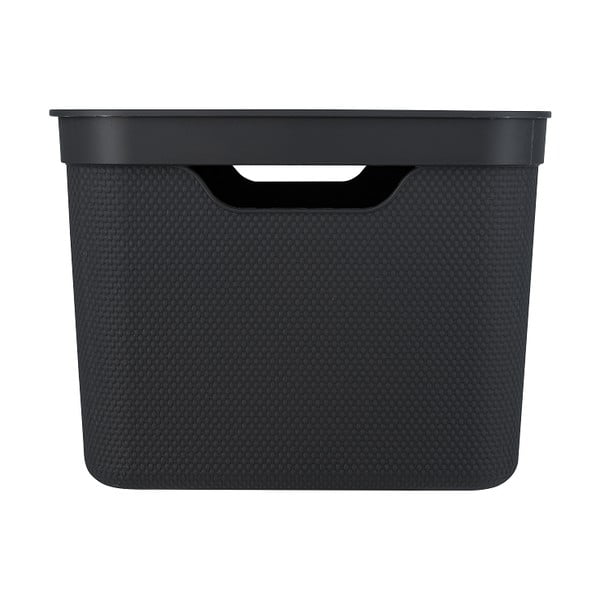 Plastična kutija za pohranu s poklopcem Deco - Rotho-image-2