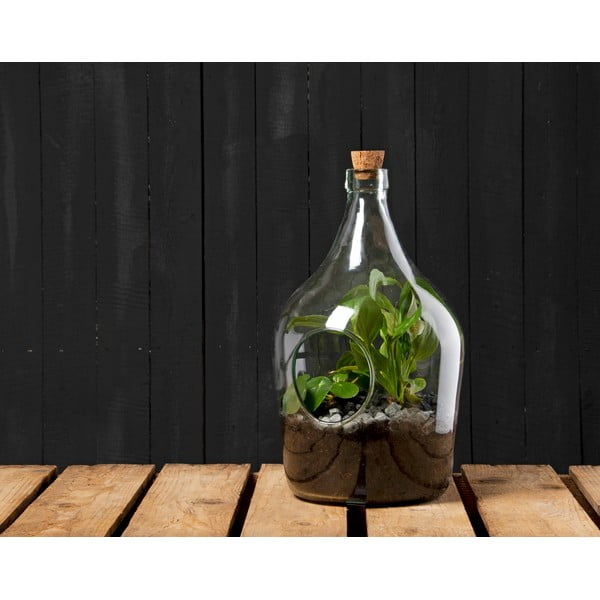 Stakleni terarij za biljke ø 20 cm – Esschert Design-image-1