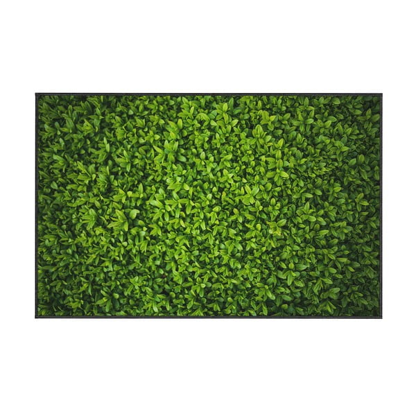 Zeleni tepih Oyo home Ivy, 80 x 140 cm