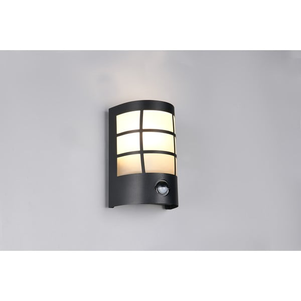 Zidna vanjska svjetiljka (visina 20 cm) Sintra – Trio-image-1