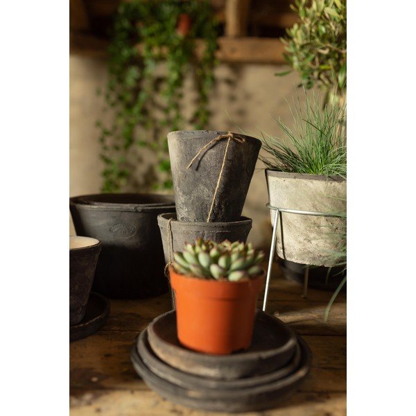 Set od 3 sive saksije za cvijeće od terakote Esschert Design-image-1