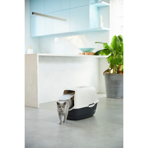 WC za mačke 56x40 cm Eco Bailey - Rotho-image-1