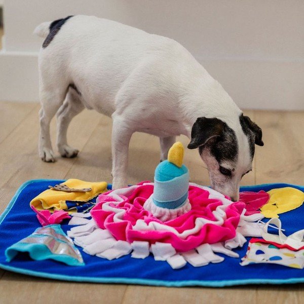 Podloga za njuškanje Pawty – P.L.A.Y.-image-1