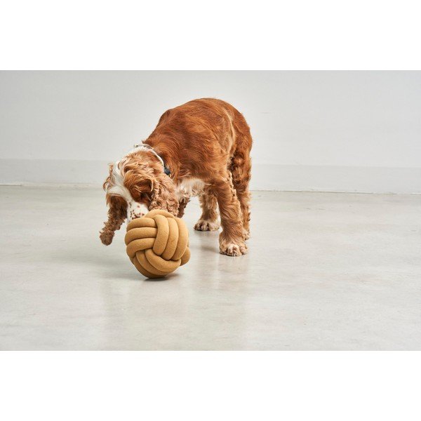 Igračka za psa Tubo Curry – MiaCara-image-1