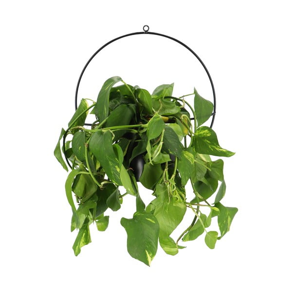 Crni zidni nosač za teglu za cvijeće Esschert Design Planter-image-1