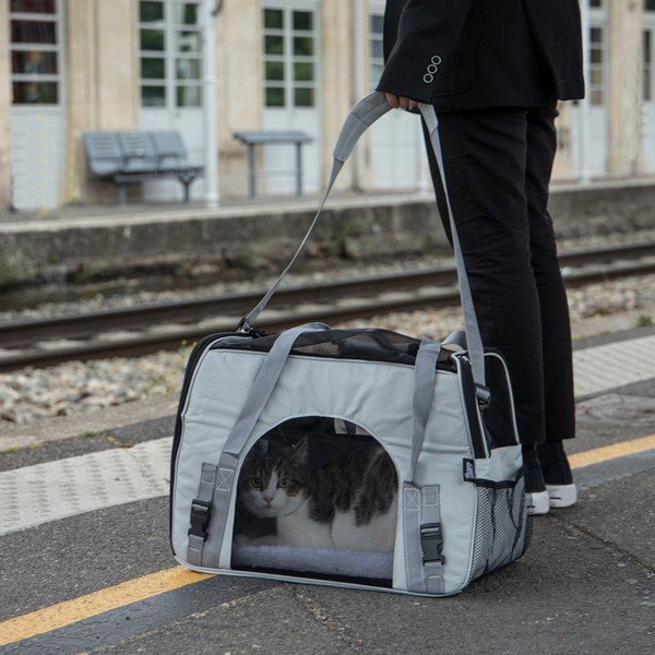 Transporter za kućne ljubimce 25,5x48 cm – Love Story-image-1