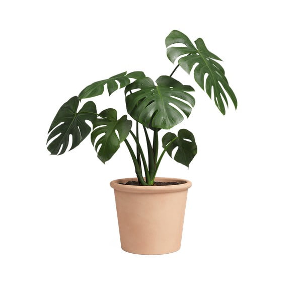 Tegla za cvijeće od terakote ø 39 cm Saramago Cilindro – Artevasi-image-1