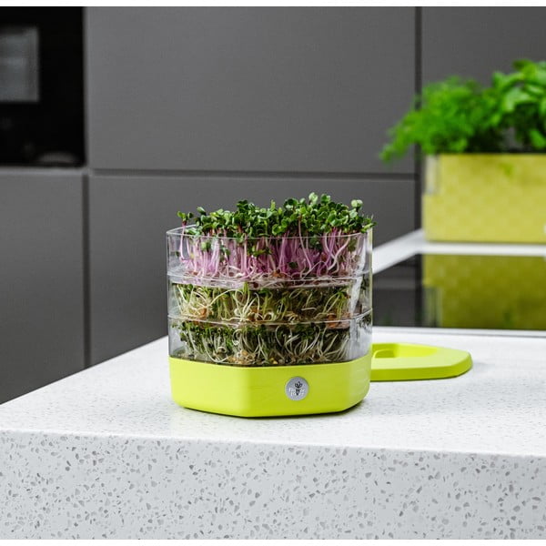 Plastična posuda za klice ø 17 cm Mungo – Flower Lover-image-4