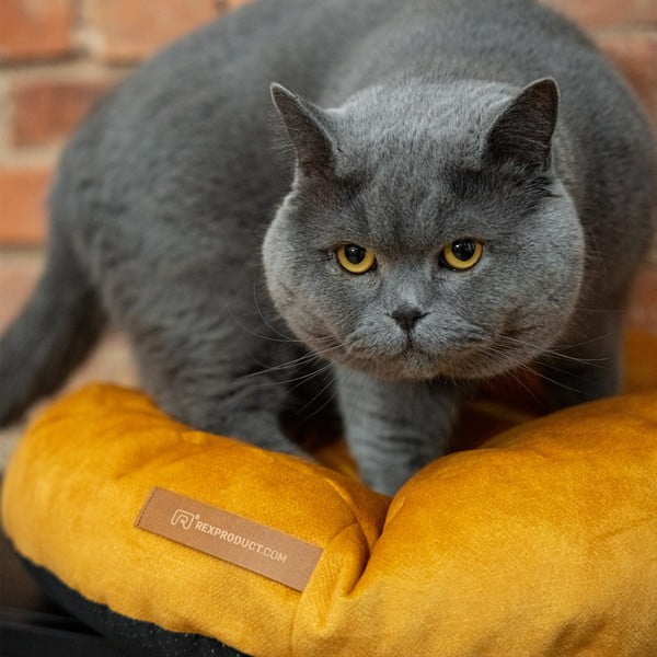 Žuti  krevet za pse ø 75 cm Coco M – Rexproduct-image-3