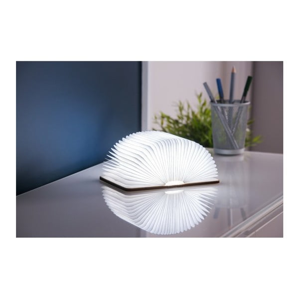 Svjetlosni ukras s USB u prirodnoj boji Booklight – Gingko-image-1