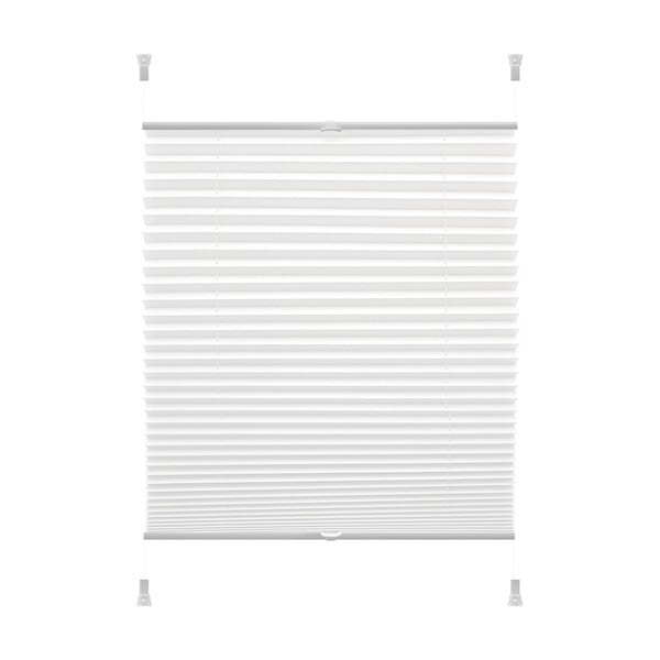 Bijele rolete  42,5x150 cm Plisé Verona Termo – Gardinia
