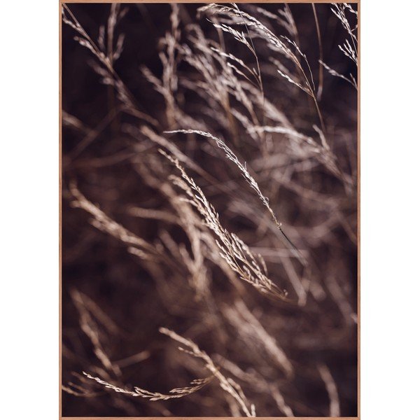 Plakat s okvirom 50x70 cm Mellow Grasses 7 – Malerifabrikken