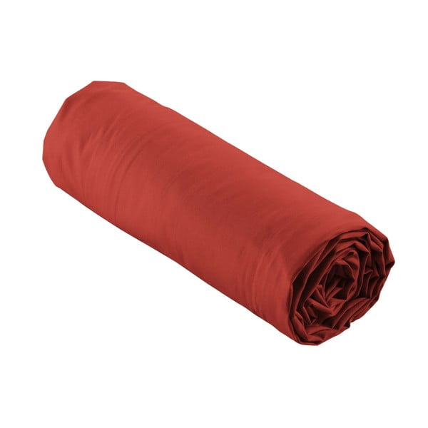 Ciglasta plahta s gumom od pamučnog perkala 180x200 cm Percaline – douceur d'intérieur-image-4