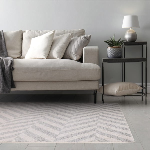 Svijetlo sivi tepih 120x170 cm Muse – Asiatic Carpets-image-1