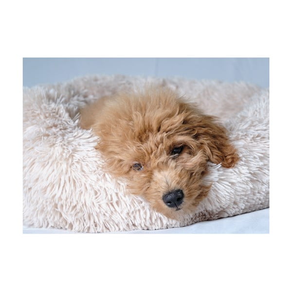 Krem krevet za pse ø 55 cm – Love Story-image-3