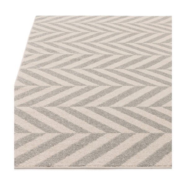 Svijetlo sivi tepih 120x170 cm Muse – Asiatic Carpets-image-3