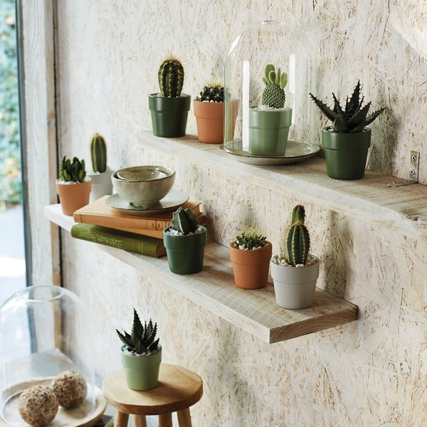 Svjetlozelena keramička tegla Big pots Lima, ø 10 cm-image-1