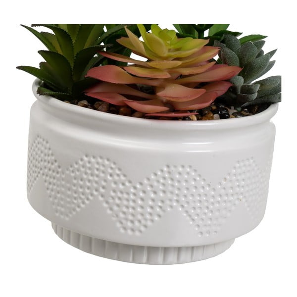 Umjetne biljke u setu 2 kom (visina 19 cm) Cactus – Casa Selección-image-1