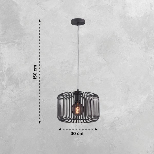 Crna viseća svjetiljka s metalnim sjenilom ø 30 cm Cage – Fischer & Honsel-image-2