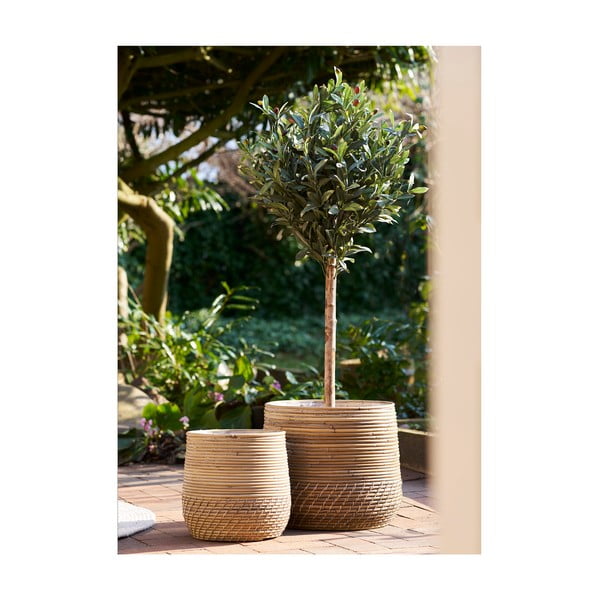 Košare u setu 2 kom od ratana ø 39x35 cm Moro – House Nordic-image-1