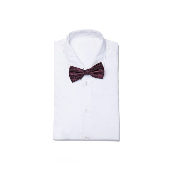 Elegantni set leptir leptir i rupčića-image-2