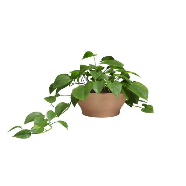 Tegla za cvijeće od terakote ø 31 cm Saramago – Artevasi-image-1