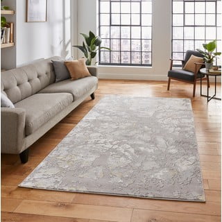 Sivo-zlatni tepih 220x160 cm Apollo - Think Rugs