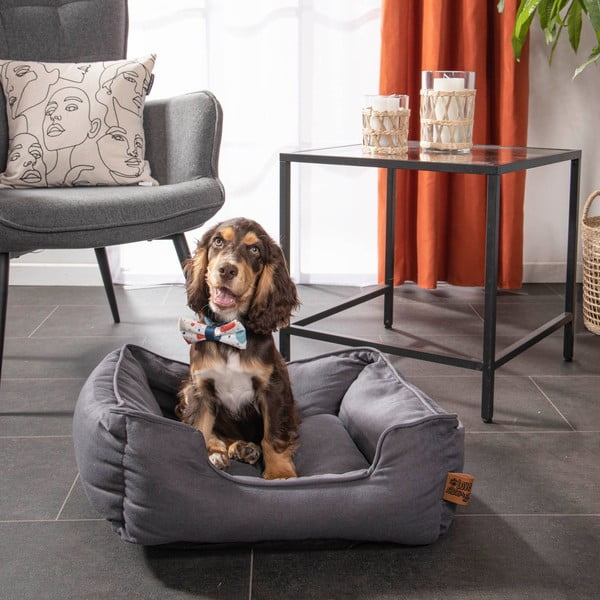 Plavi krevet za pse 50x55 cm – Love Story-image-3