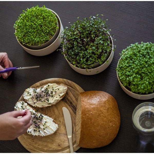 Plastična posuda za klice ø 16 cm Microgreens – Plastia-image-1