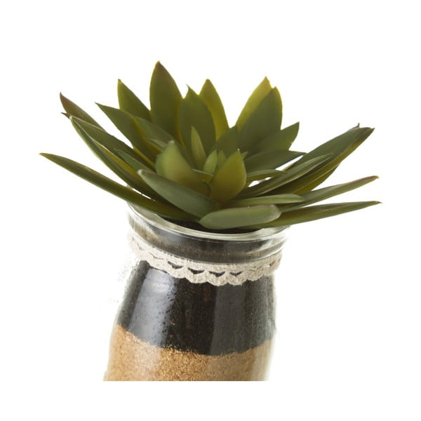 Umjetne biljke u setu 4 kom (visina 18 cm) Cactus – Casa Selección-image-3