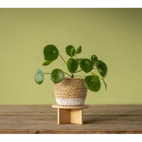 Bambusov stalak za tegle za cvijeće ø 18 cm – Esschert Design-image-3