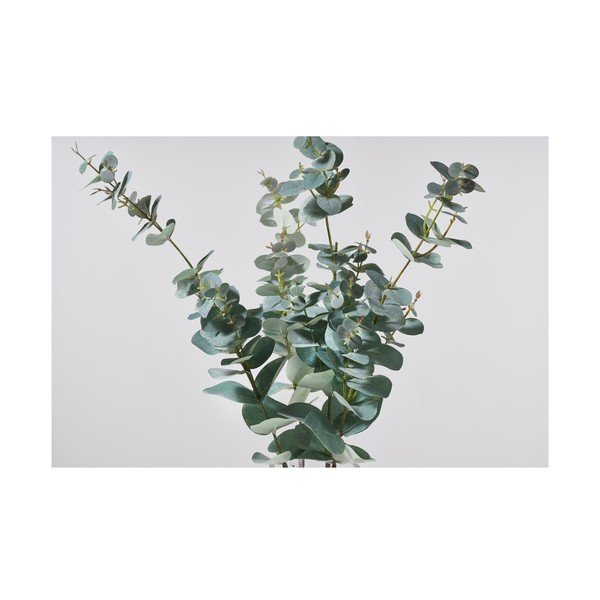 Umjetni eukaliptus (visina 71 cm) Kvist – Villa Collection-image-1