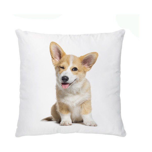 Dječji jastuk od pamučnog satena 45x45 cm The Cutest Ones – Butter Kings-image-2