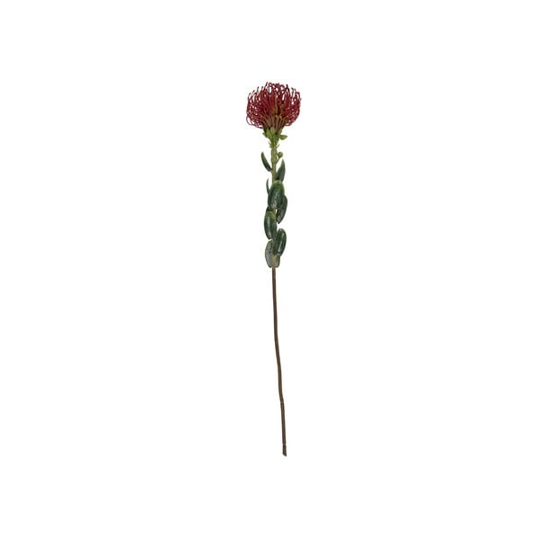 Umjetna biljka (visina 73 cm) Protea – PT LIVING