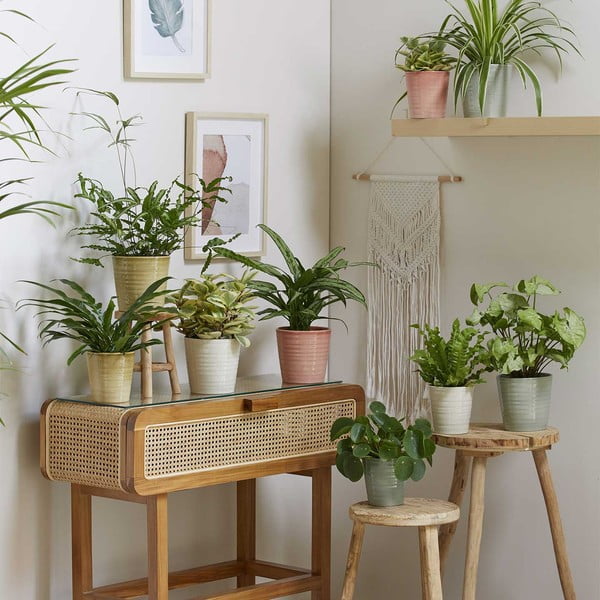 Keramička posuda za cvijeće ø 19 cm Canberra Effekt - Big pots-image-1