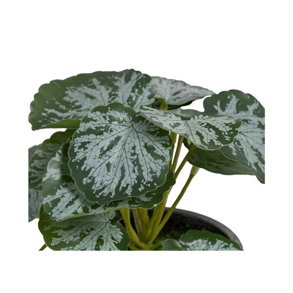 Umjetna biljka (visina 21,5 cm) Saxifraga – Ixia-image-1