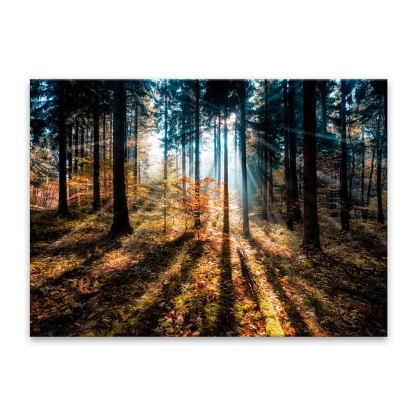 Slika Styler Glasspik Autumn Sunset, 70 x 100 cm
